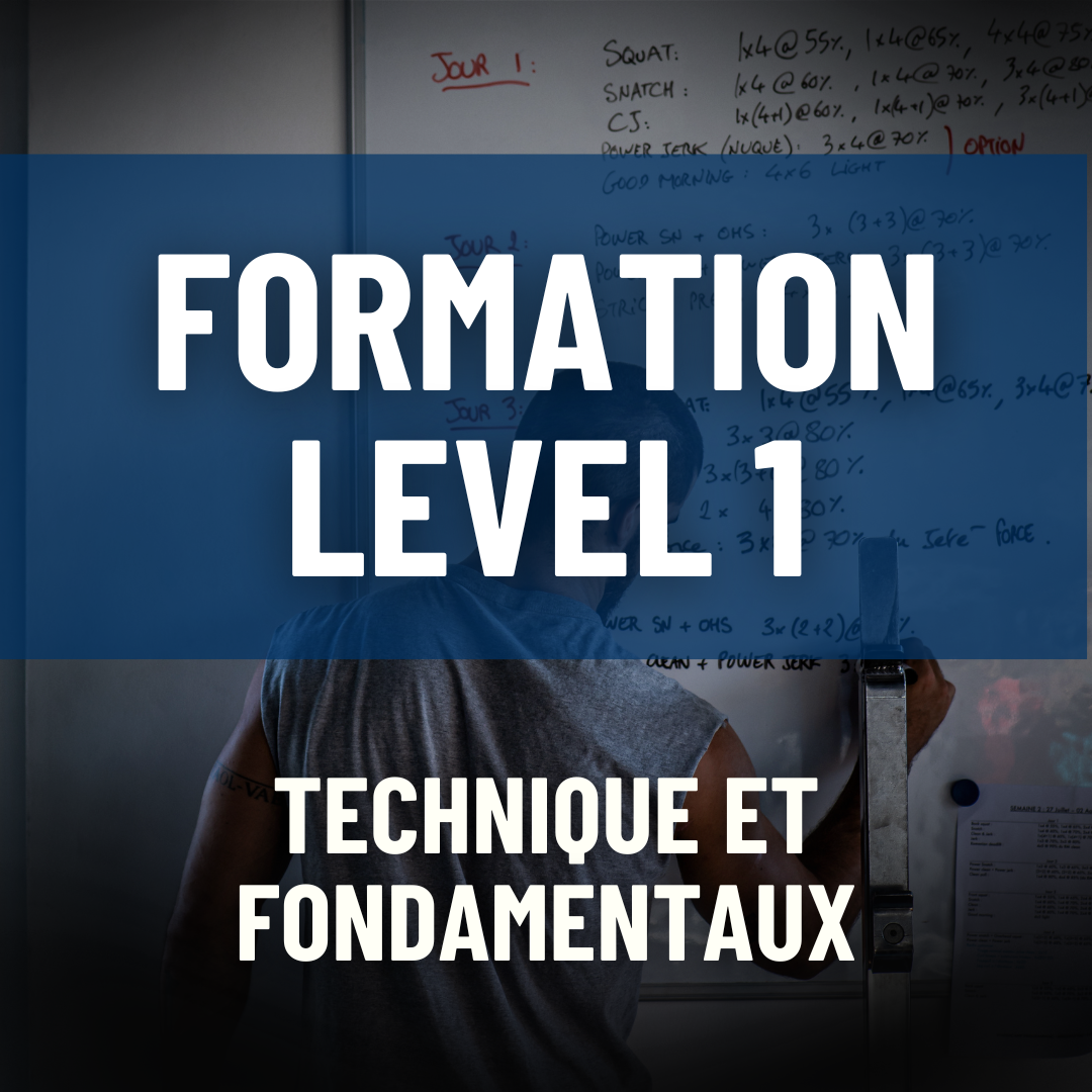 NIVEAU 1