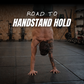 ROAD TO HANDSTAND HOLD