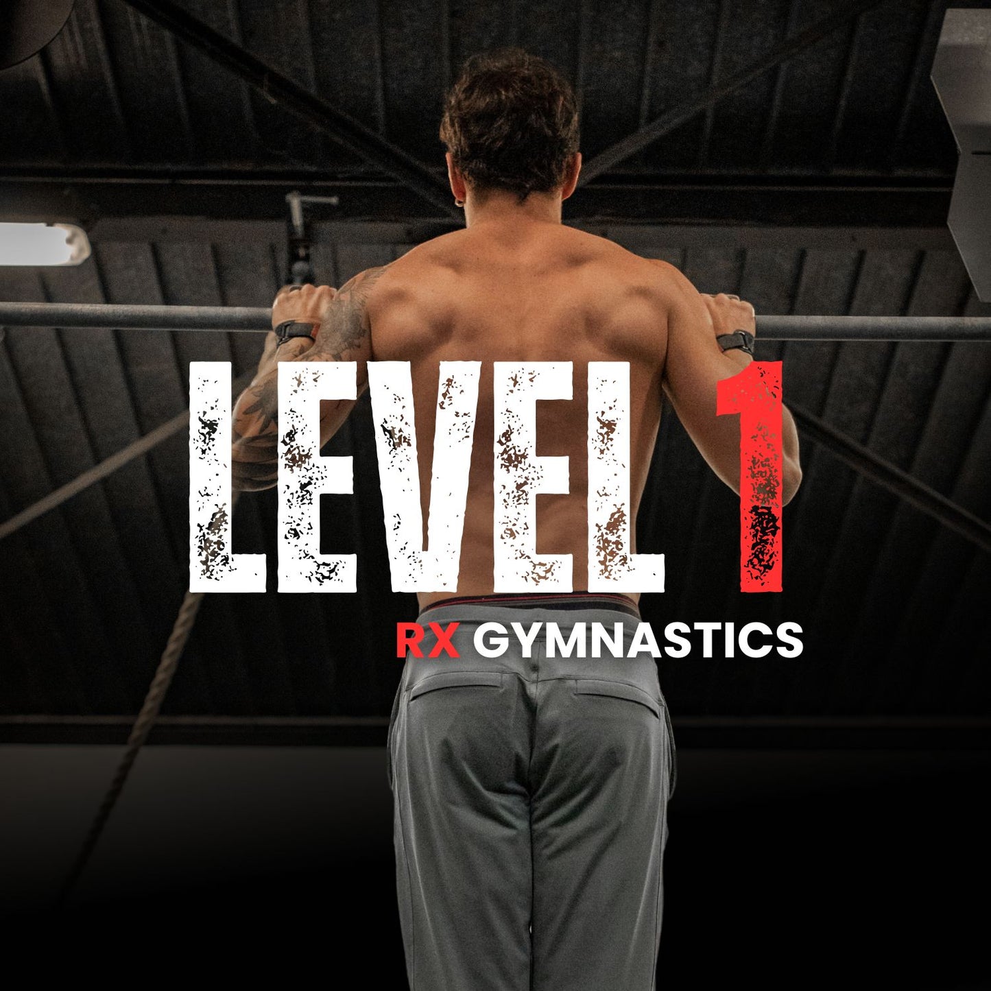LEVEL 1 : Strict Pull-up, Push-up, Headstand