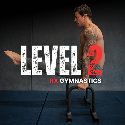 LEVEL 2 : Strict HSPU, L-sit, Strict Pull-up